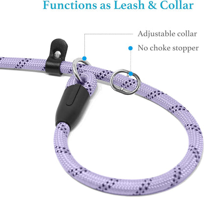 6 FT Durable Slip Lead Dog Leash with Padded Handle and Highly Reflective Threads, Dog Training Leash, (Small, 0~35 Lbs, Black)