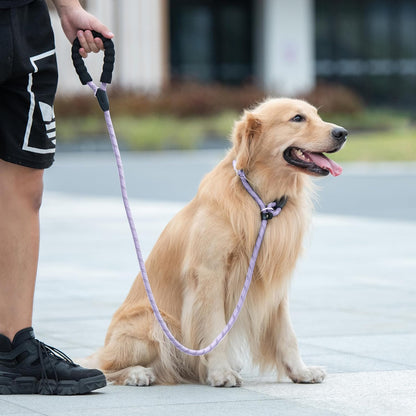 6 FT Durable Slip Lead Dog Leash with Padded Handle and Highly Reflective Threads, Dog Training Leash, (Small, 0~35 Lbs, Black)